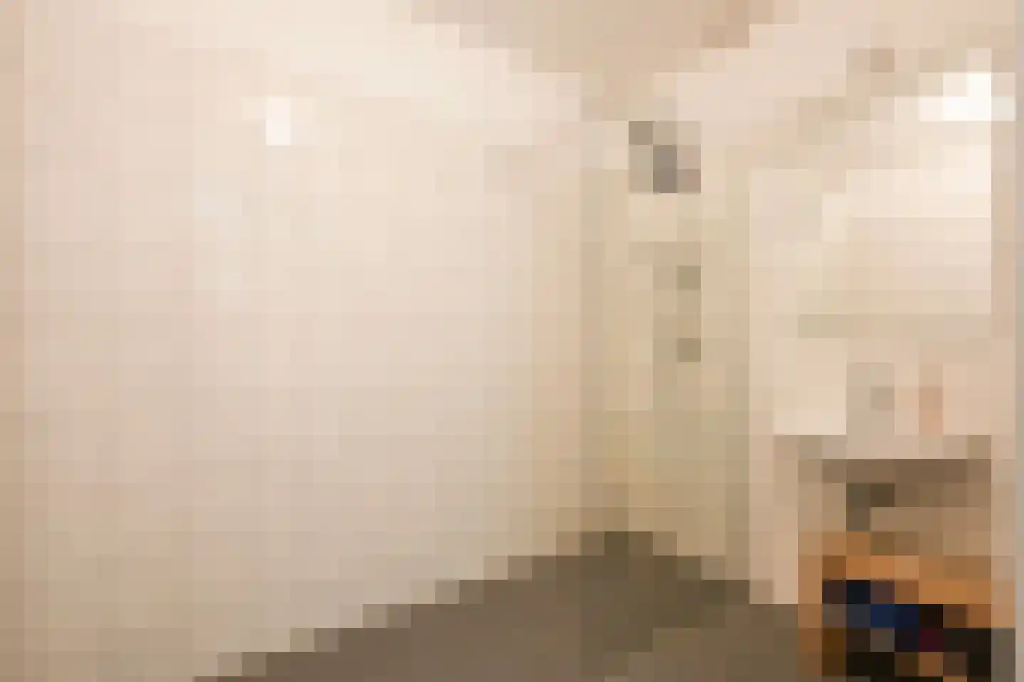Melis Stokelaan 1970 Den Haag thumbnail 17