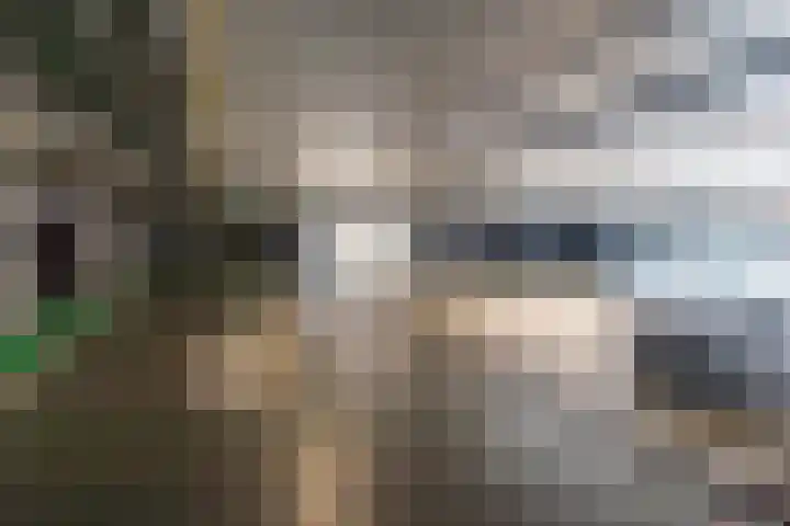 Melis Stokelaan 2002 Den Haag thumbnail 25