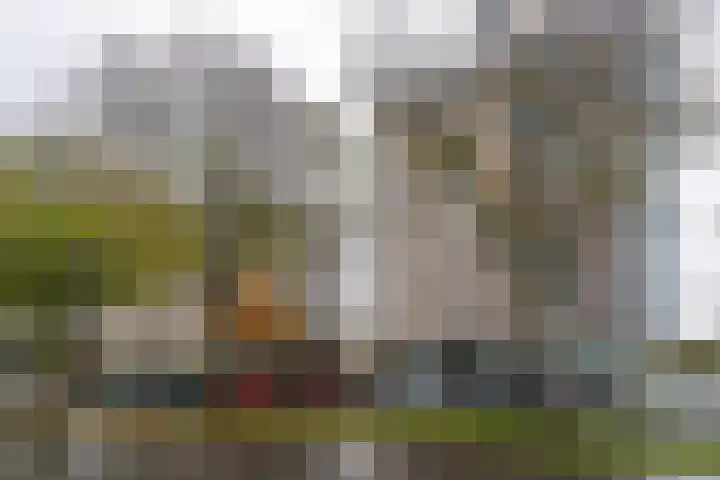Melis Stokelaan 2002 Den Haag thumbnail 27