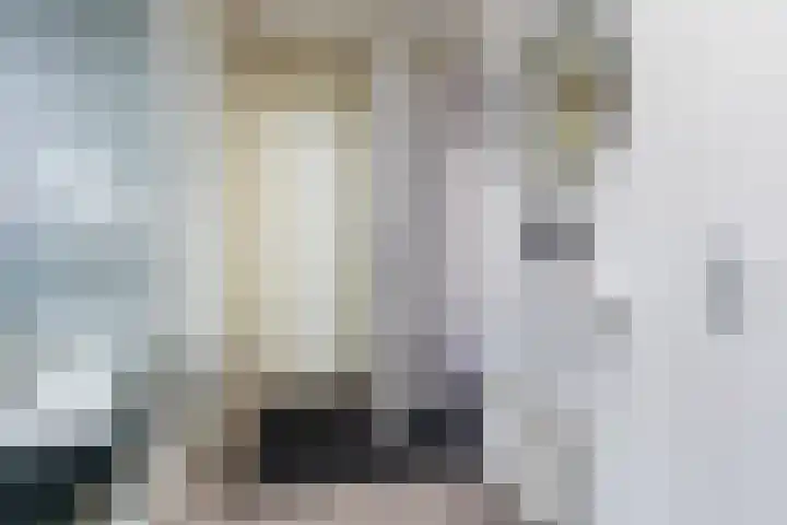 Melis Stokelaan 2002 Den Haag thumbnail 5