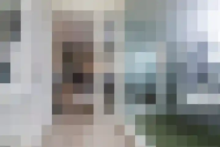 Melis Stokelaan 2002 Den Haag thumbnail 6