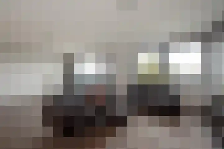 Melis Stokelaan 2024 Den Haag thumbnail 10