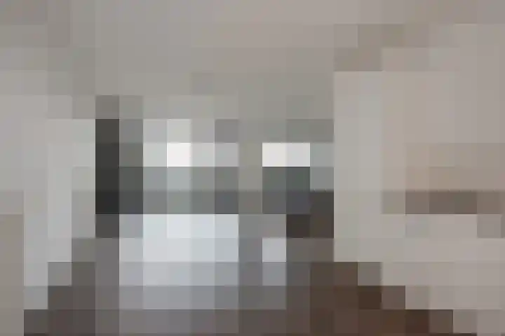 Melis Stokelaan 2024 Den Haag thumbnail 14