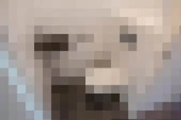 Melis Stokelaan 2024 Den Haag thumbnail 16