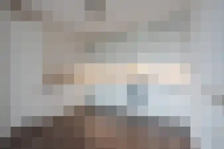 Melis Stokelaan 2024 Den Haag foto 2