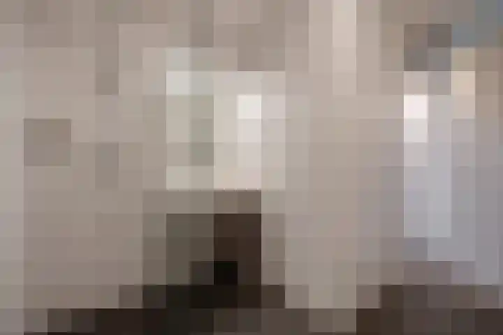 Melis Stokelaan 2024 Den Haag thumbnail 22