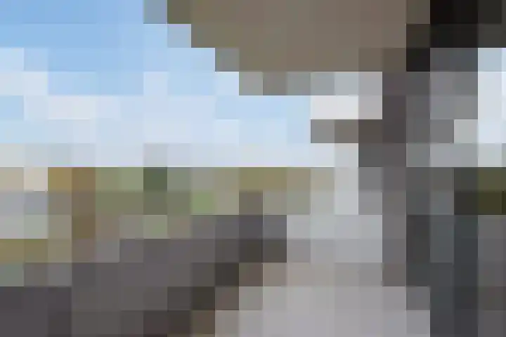 Melis Stokelaan 2024 Den Haag thumbnail 27