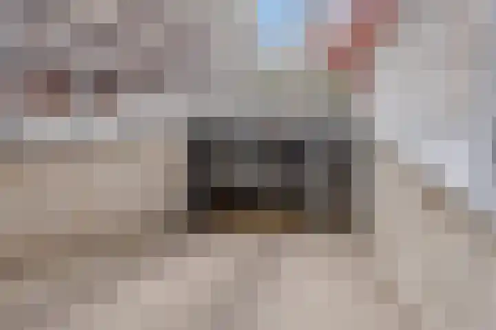 Melis Stokelaan 2024 Den Haag thumbnail 28