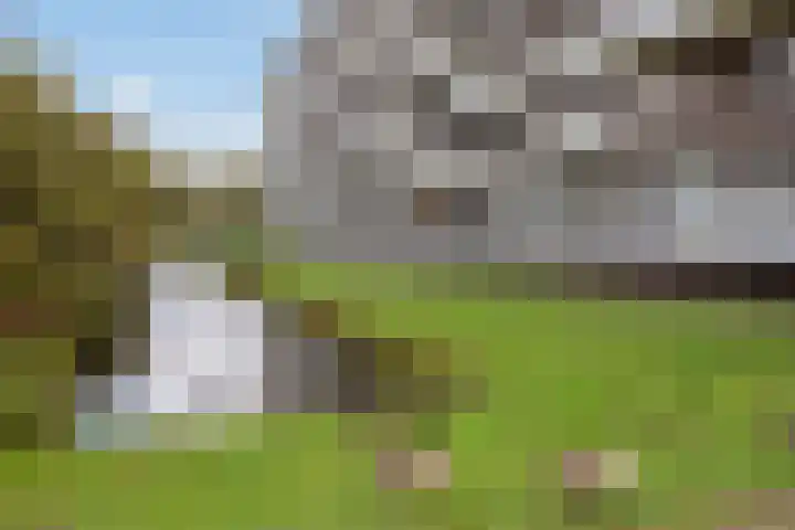 Melis Stokelaan 2024 Den Haag thumbnail 30