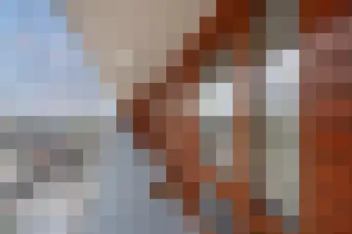 Melis Stokelaan 2024 Den Haag thumbnail 7