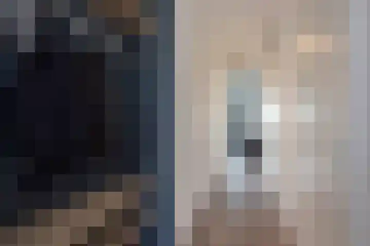 Melis Stokelaan 2024 Den Haag thumbnail 8