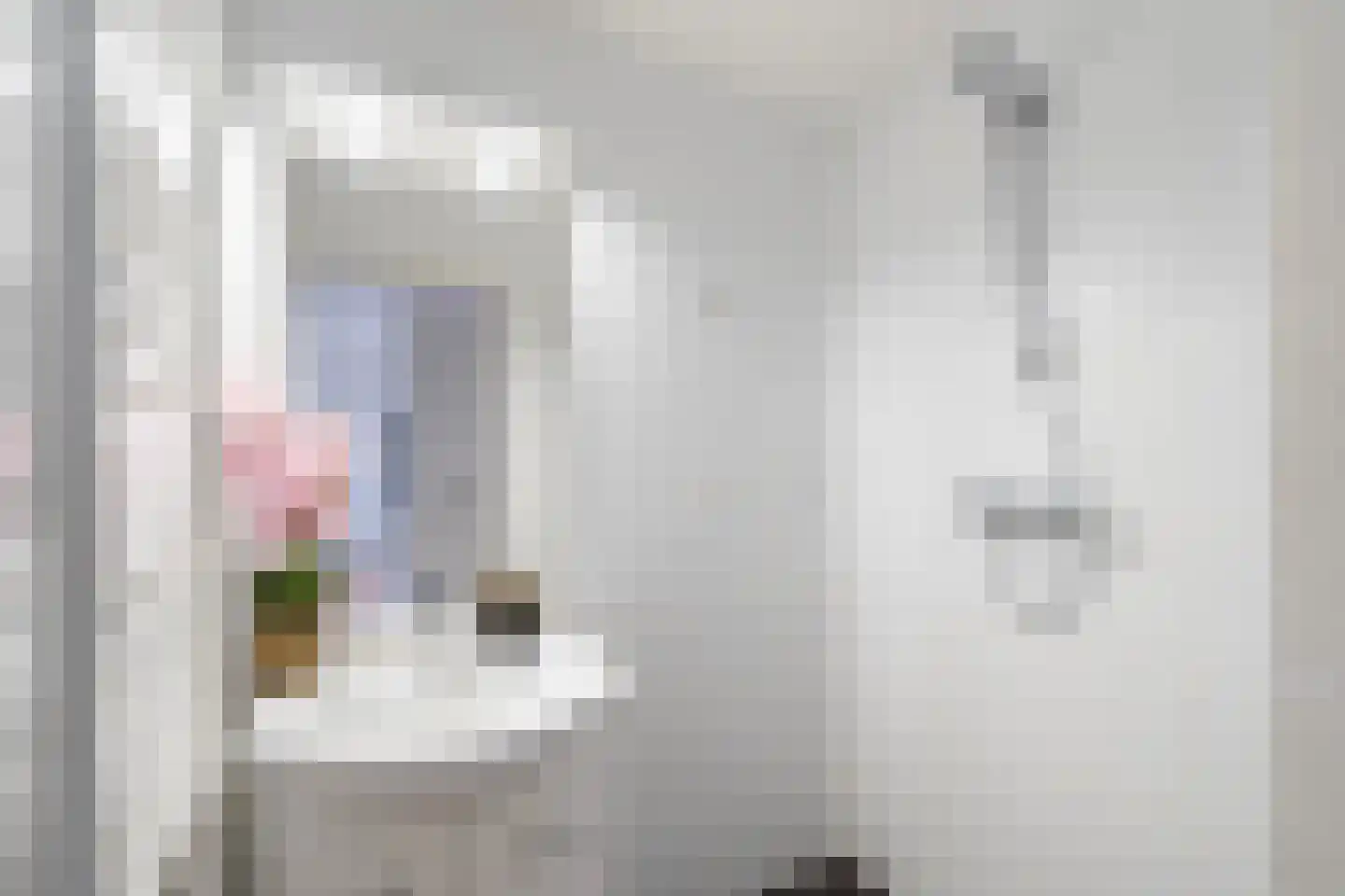 Melis Stokelaan 21 A Den Haag thumbnail 13