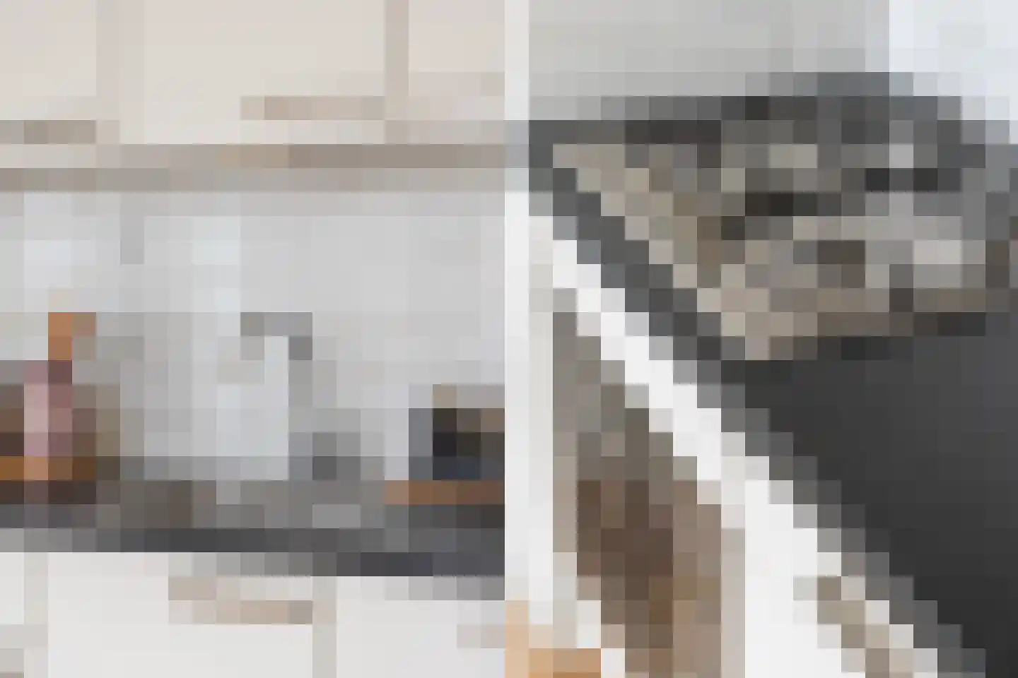 Melis Stokelaan 21 A Den Haag thumbnail 8