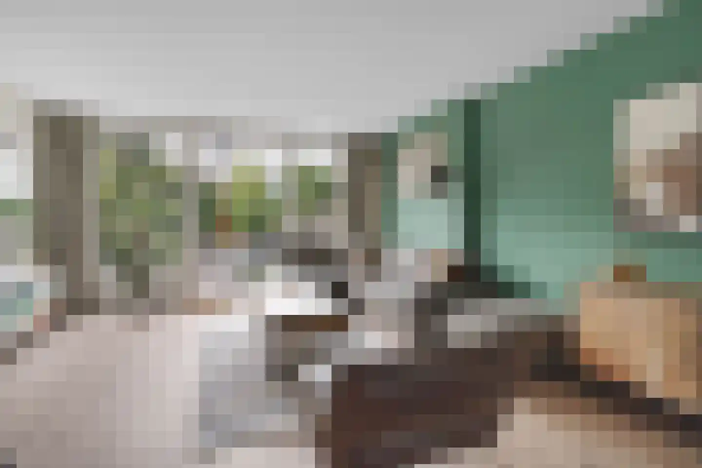 Melis Stokelaan 24 Vlaardingen thumbnail 15