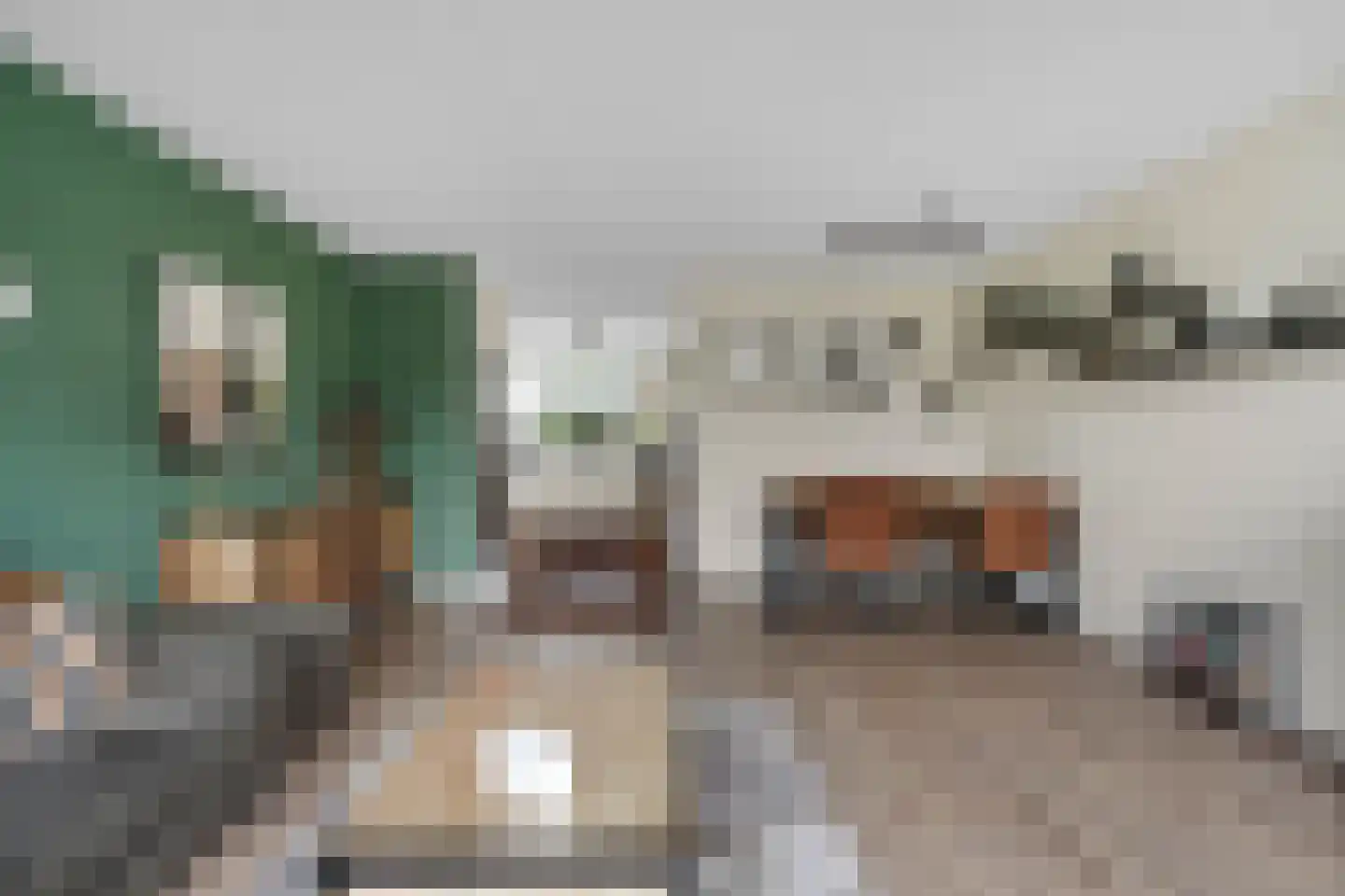 Melis Stokelaan 24 Vlaardingen thumbnail 18