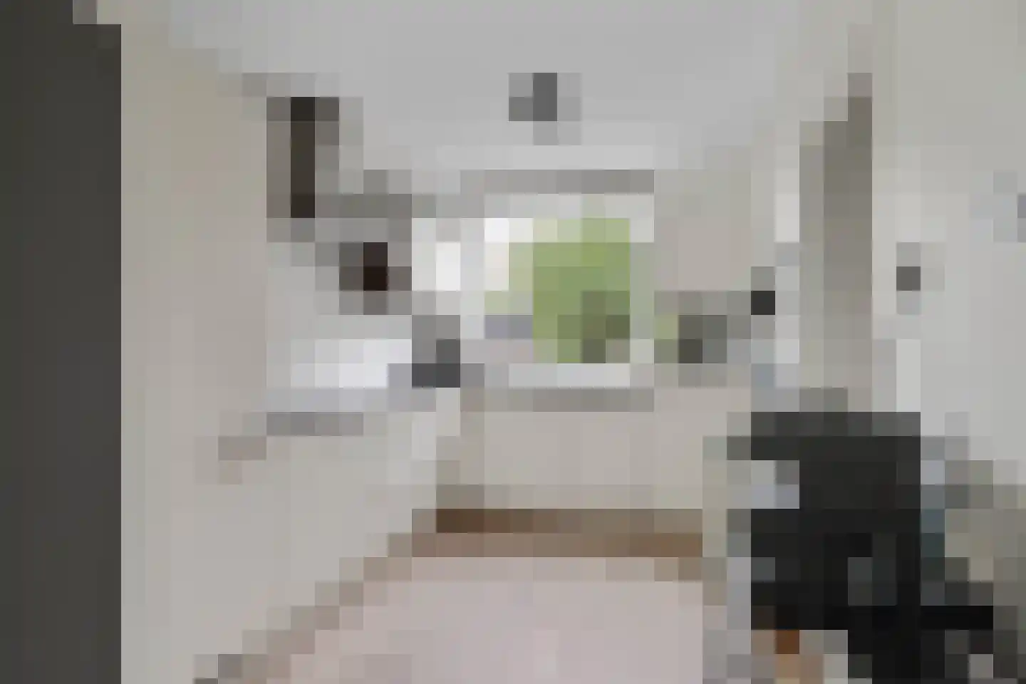 Melis Stokelaan 24 Vlaardingen thumbnail 22