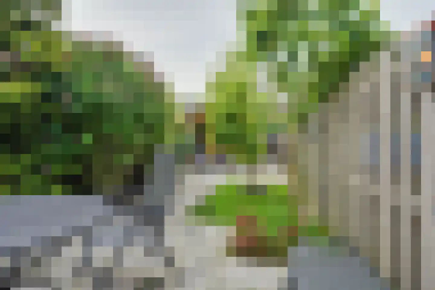 Melis Stokelaan 24 Vlaardingen thumbnail 29