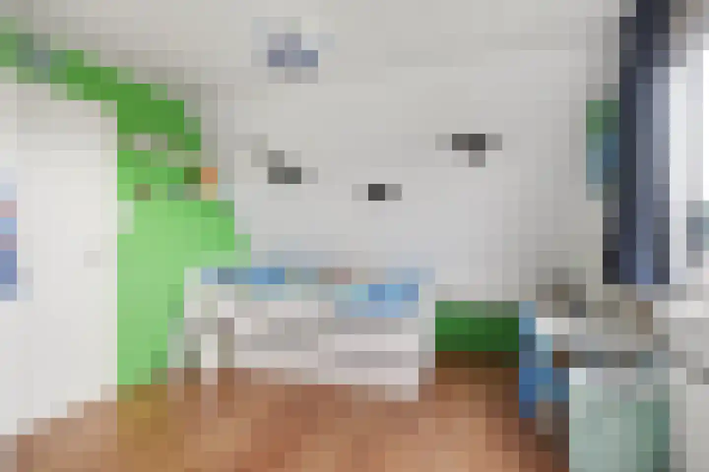Melis Stokelaan 24 Vlaardingen thumbnail 41