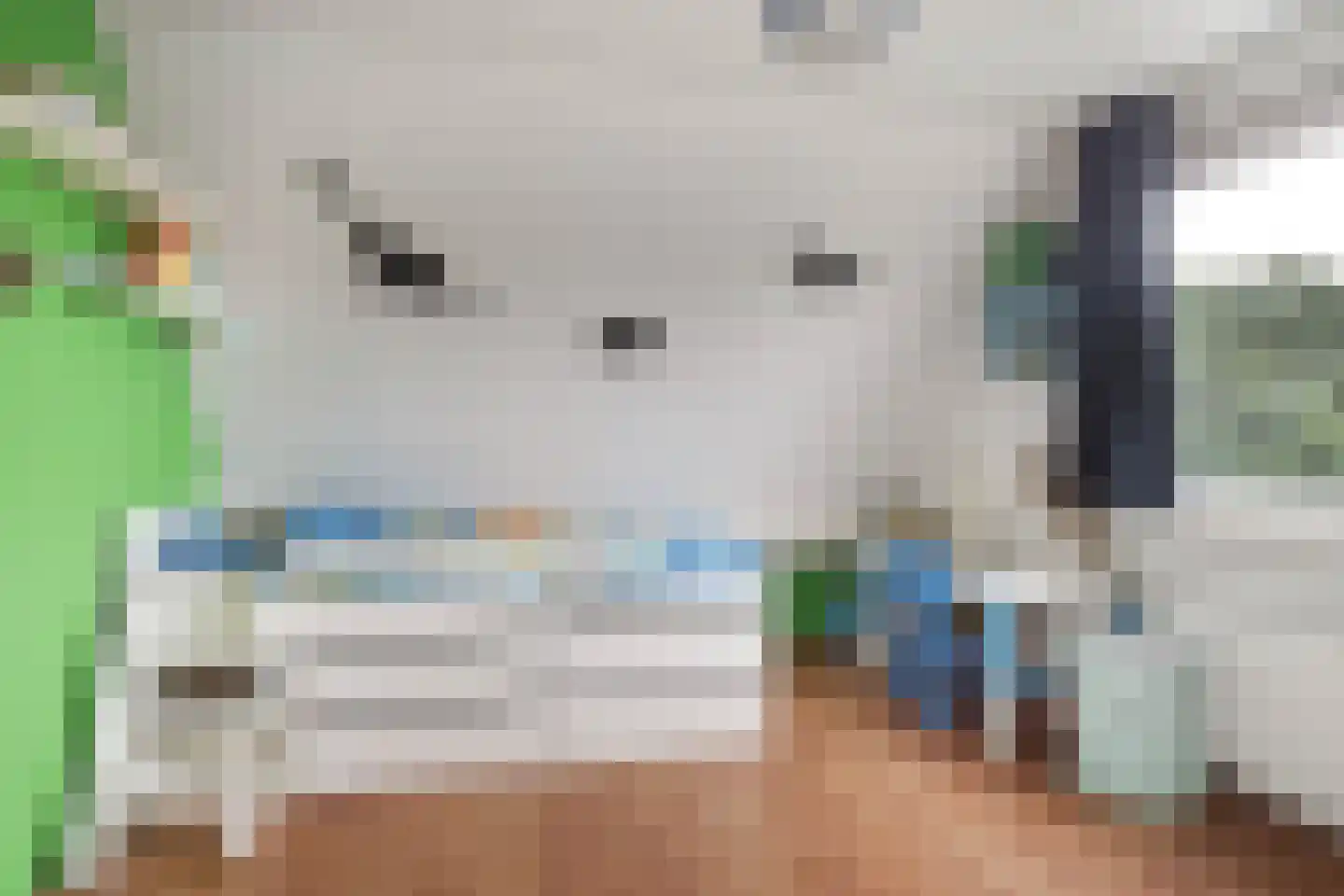 Melis Stokelaan 24 Vlaardingen thumbnail 42