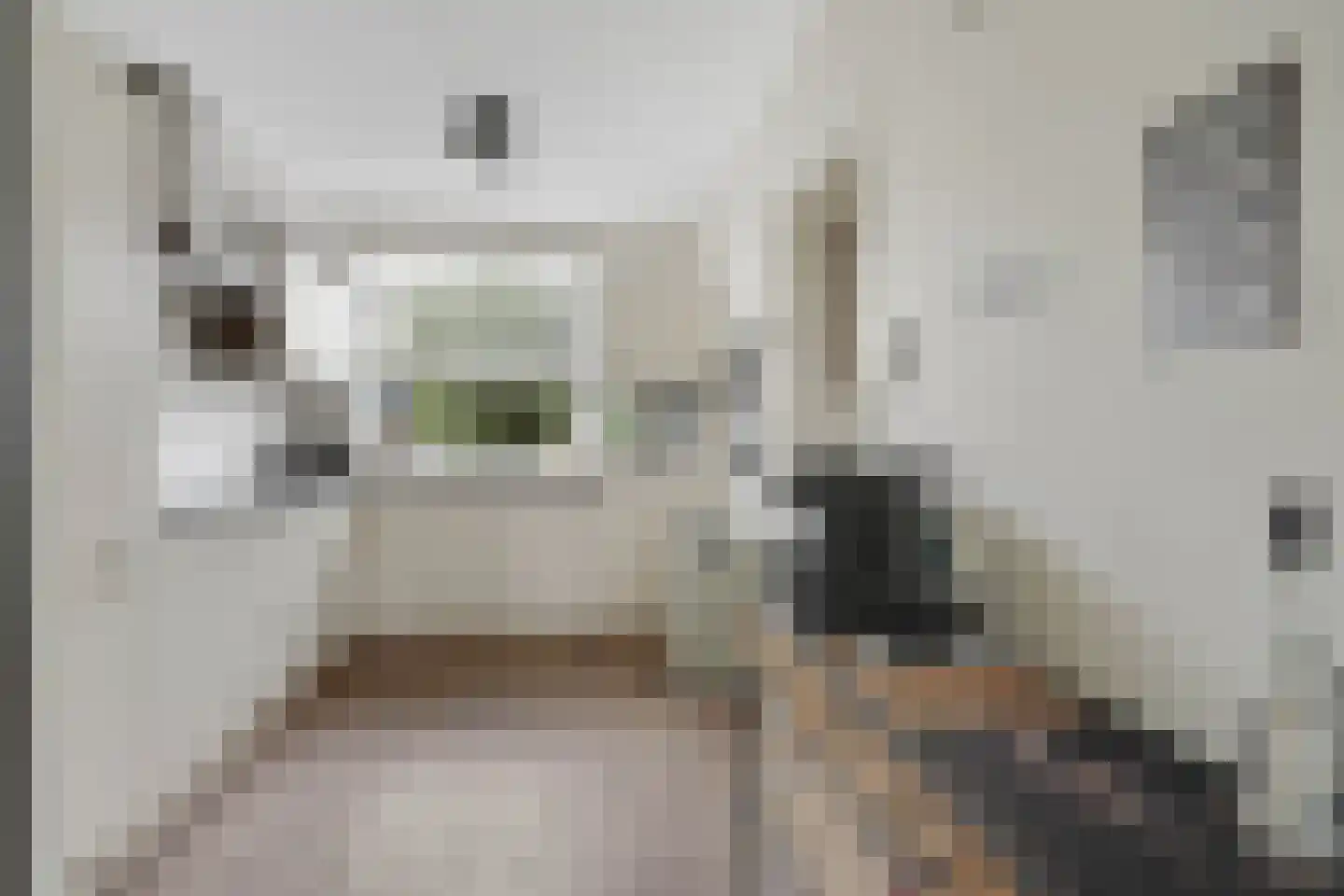 Melis Stokelaan 24 Vlaardingen thumbnail 5