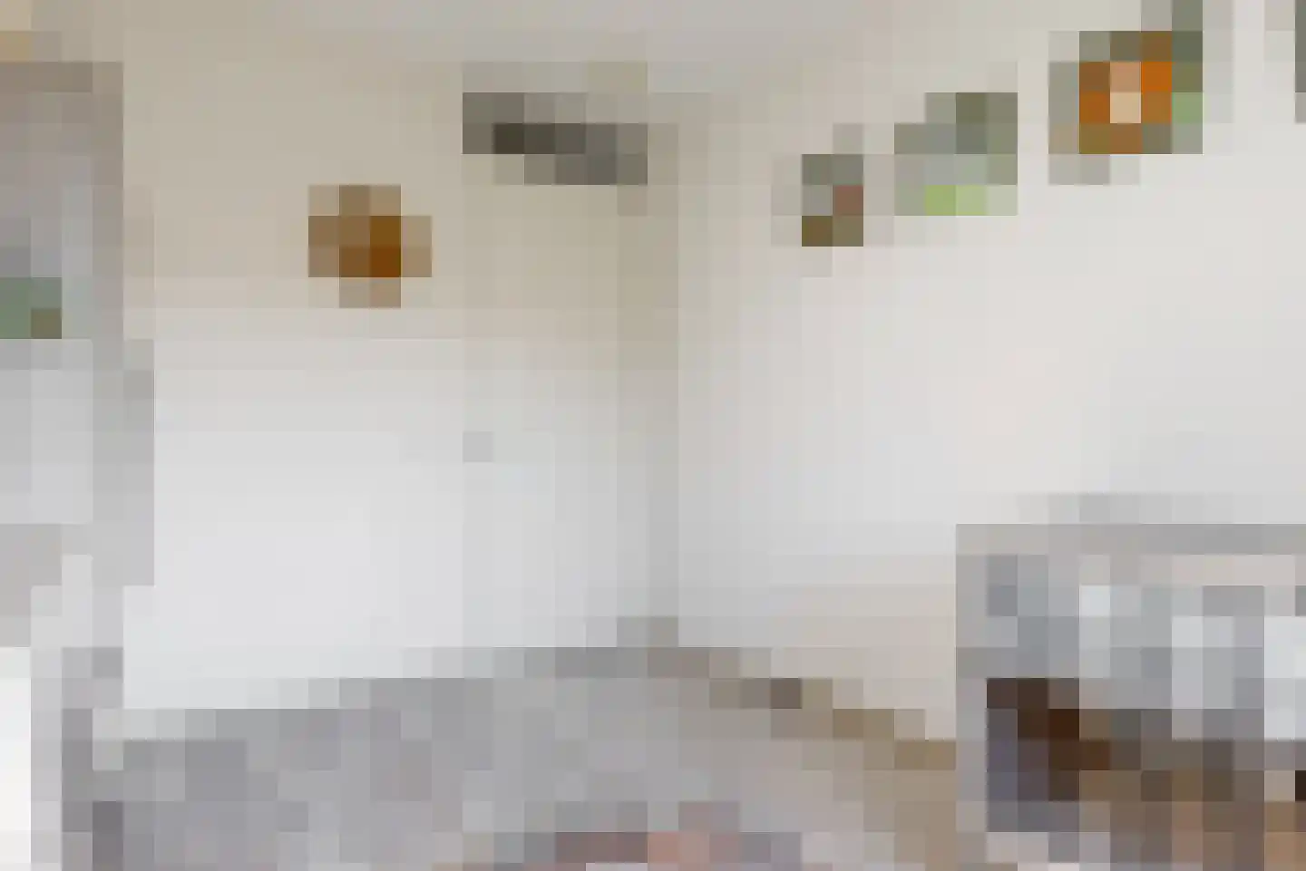 Melis Stokelaan 3 Beverwijk thumbnail 20