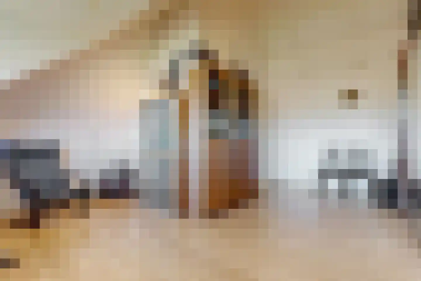 Melis Stokelaan 3 Beverwijk thumbnail 29