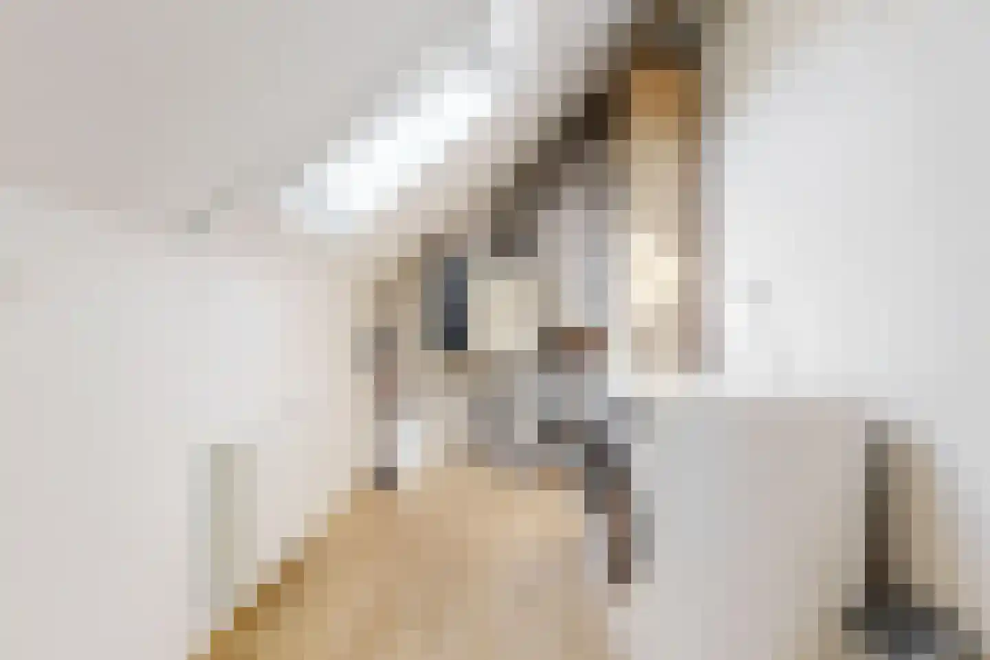 Melis Stokelaan 3 Beverwijk thumbnail 30