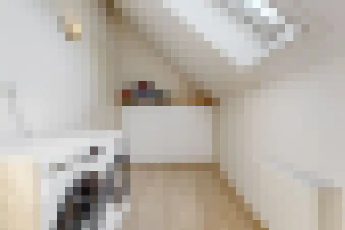 Melis Stokelaan 3 Beverwijk thumbnail 31