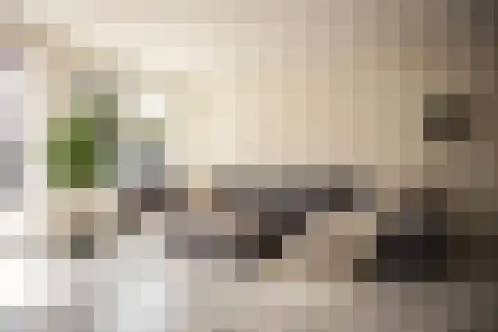Melis Stokelaan 34 Beverwijk thumbnail 6