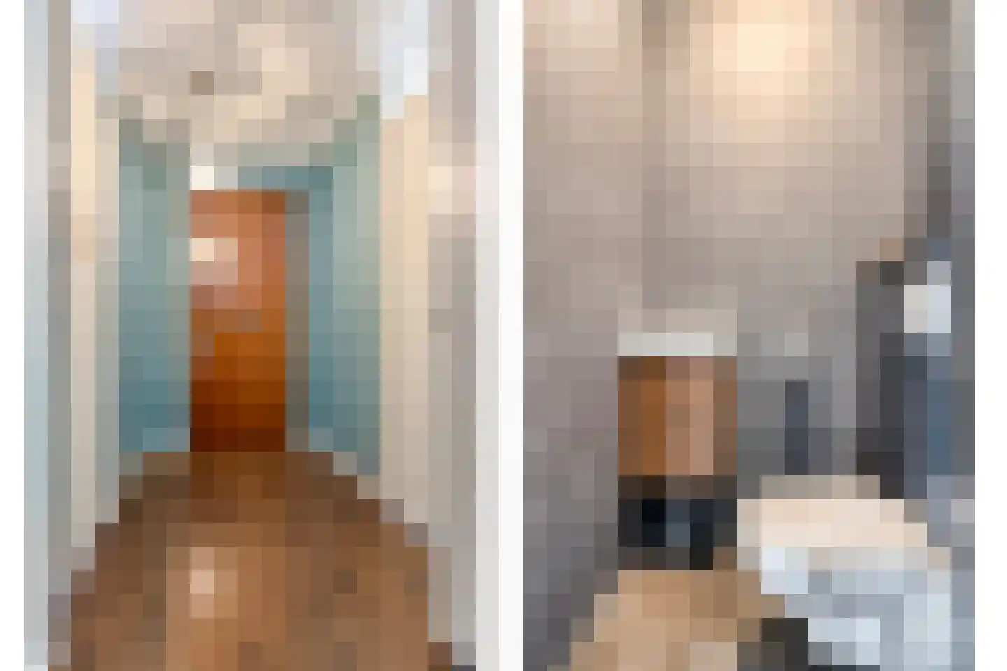 Melis Stokelaan 393 Den Haag thumbnail 13