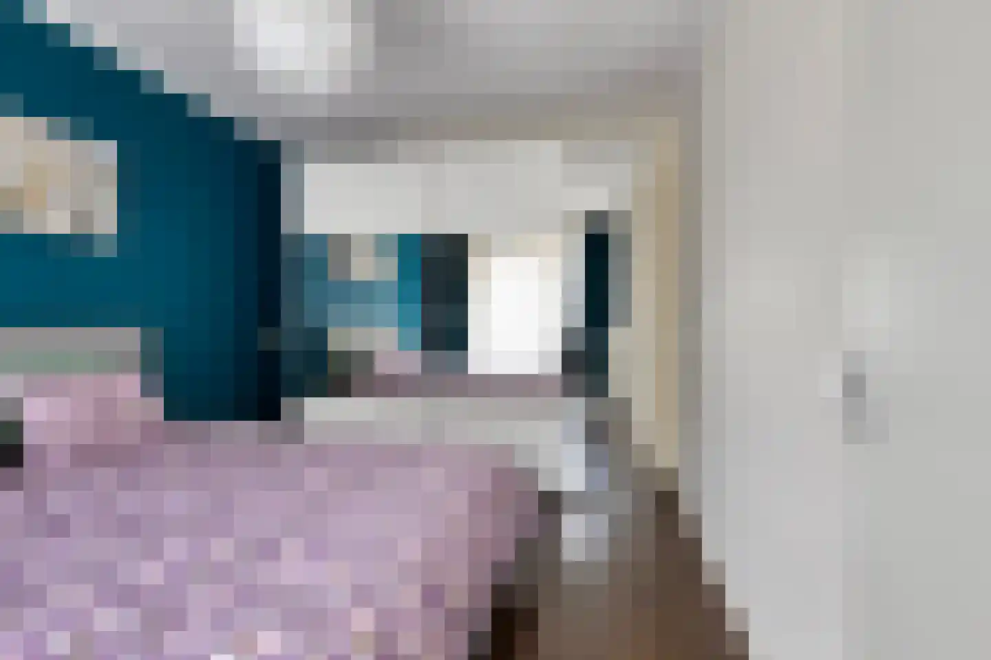 Melis Stokelaan 393 Den Haag thumbnail 7