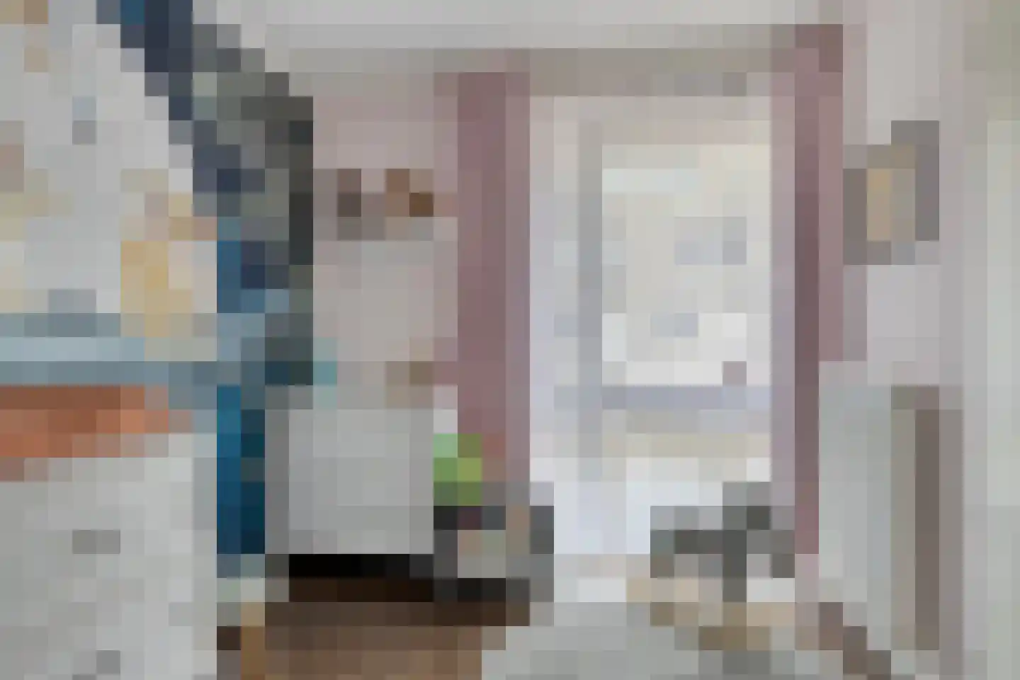 Melis Stokelaan 393 Den Haag thumbnail 9