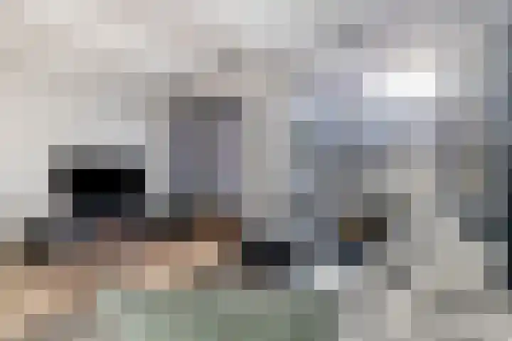 Melis Stokelaan 4 Beverwijk thumbnail 13