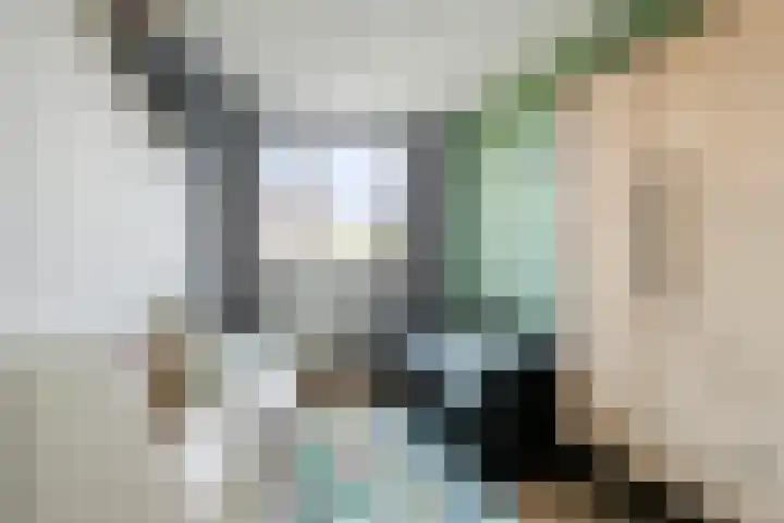 Melis Stokelaan 4 Beverwijk thumbnail 26