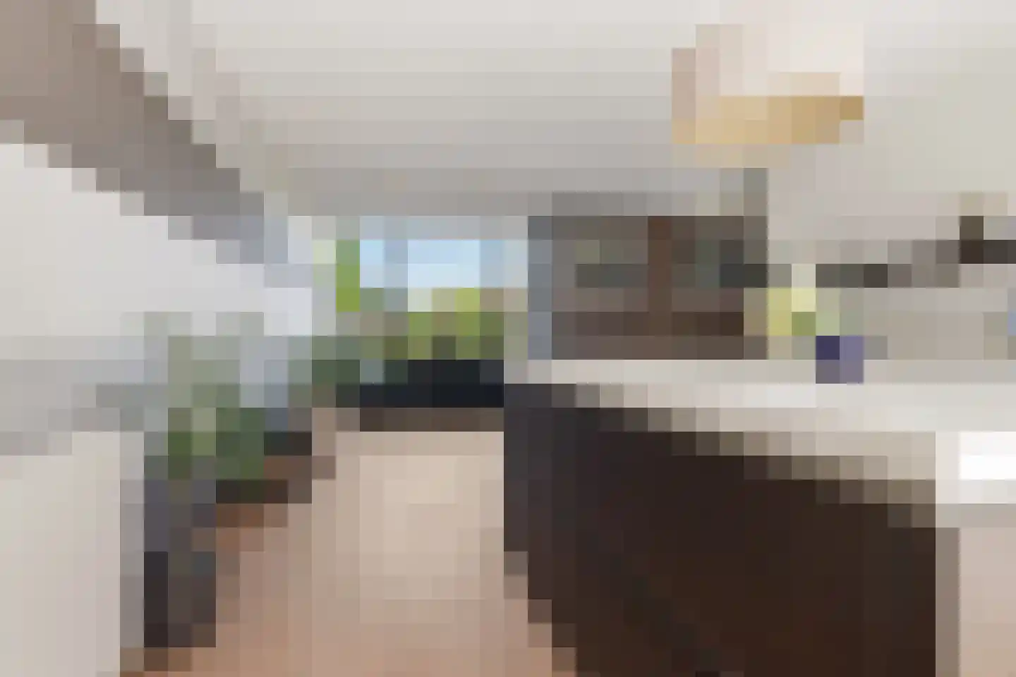 Melis Stokelaan 49 Beverwijk thumbnail 13