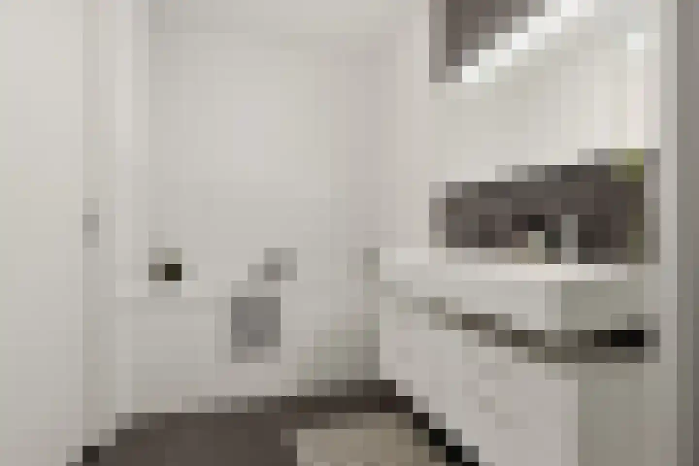 Melis Stokelaan 49 Beverwijk thumbnail 39