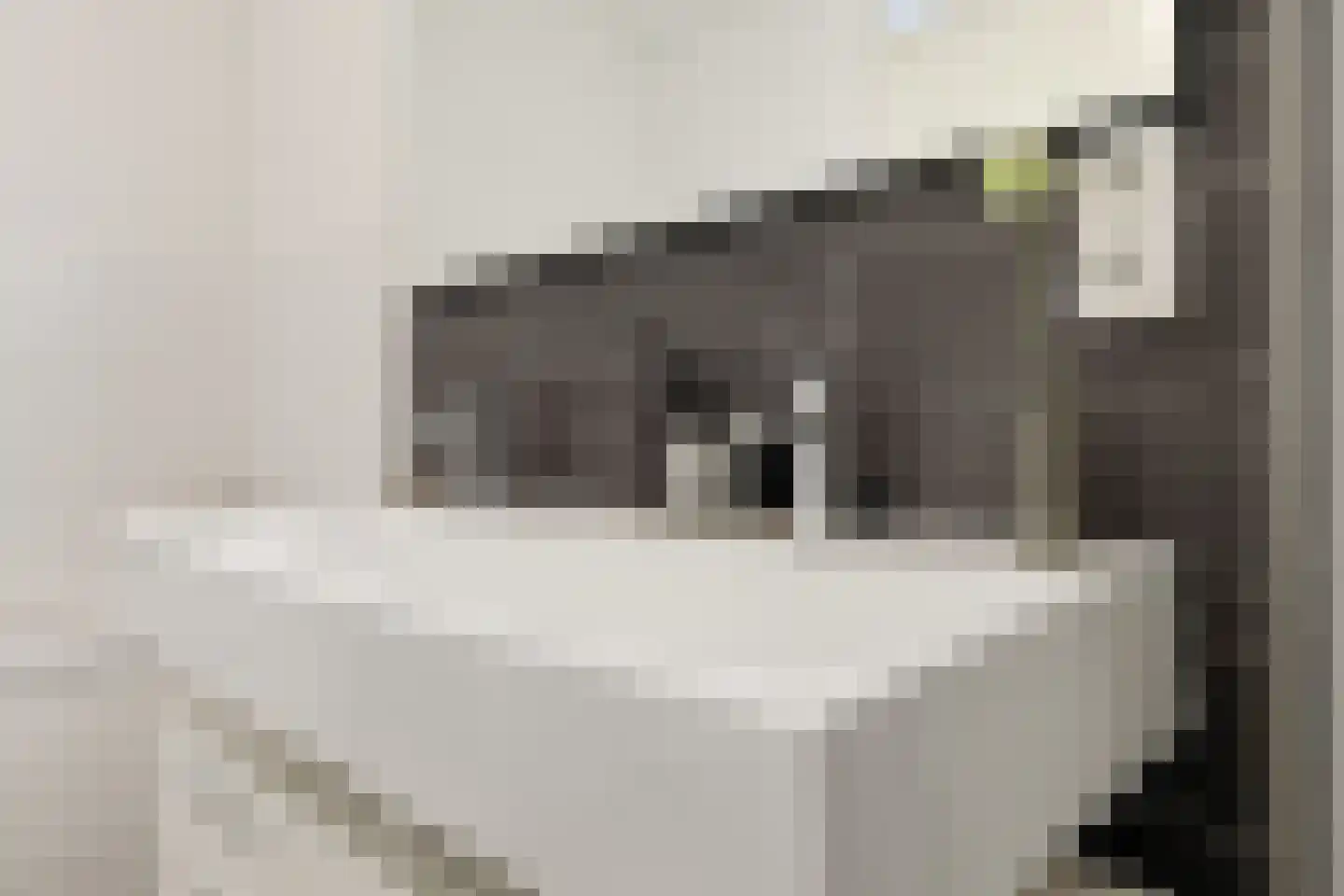 Melis Stokelaan 49 Beverwijk thumbnail 40