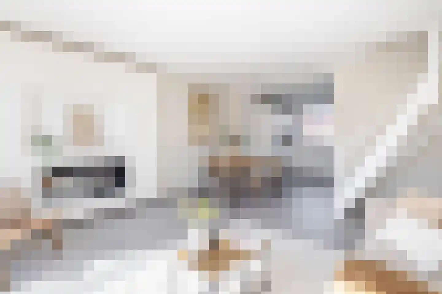 Melis Stokelaan 64 Vlaardingen thumbnail 12