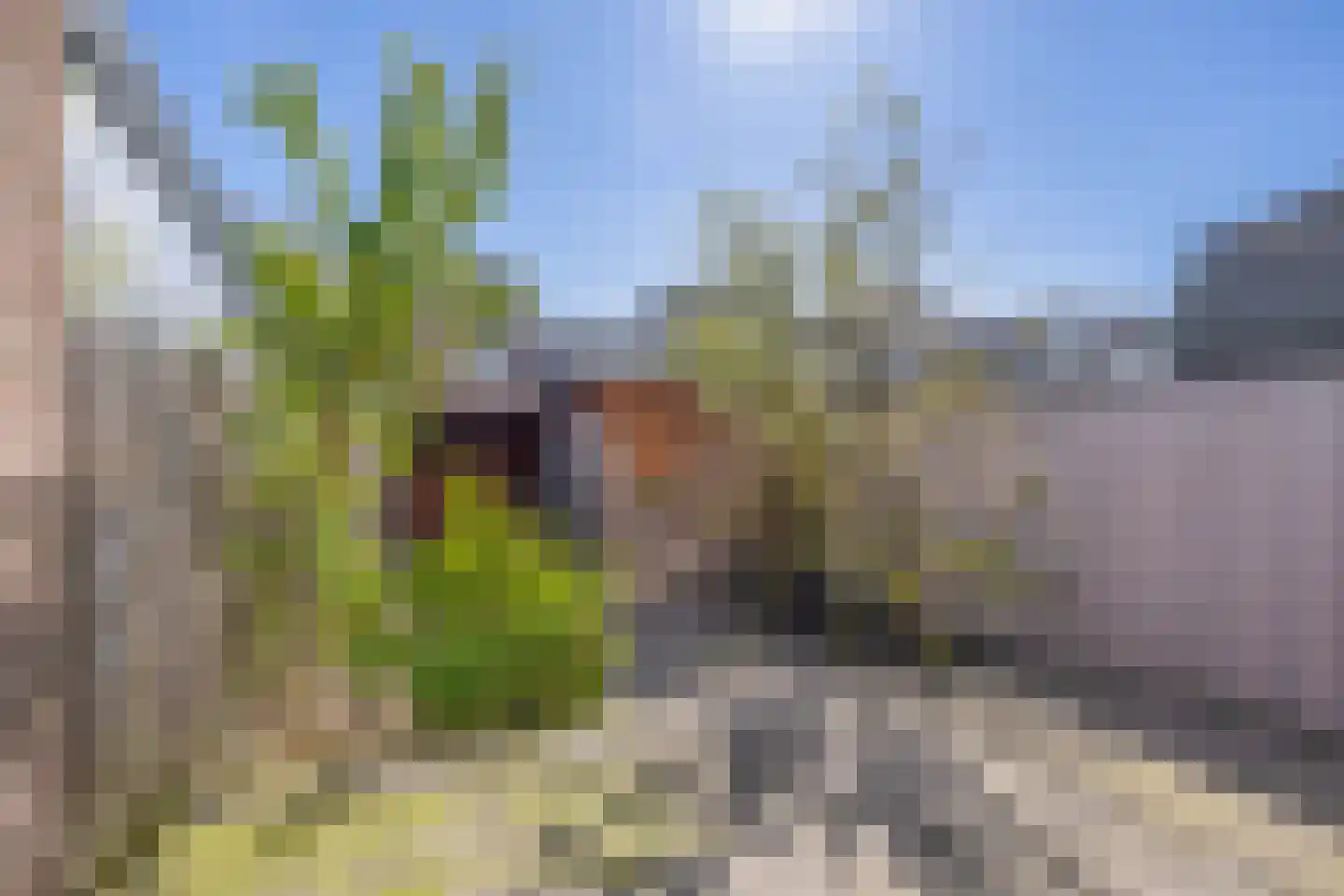 Melis Stokelaan 64 Vlaardingen thumbnail 18