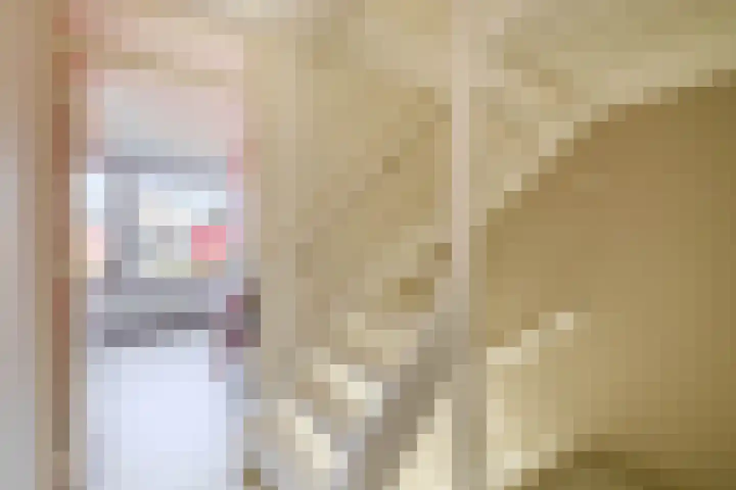 Melis Stokelaan 64 Vlaardingen thumbnail 22