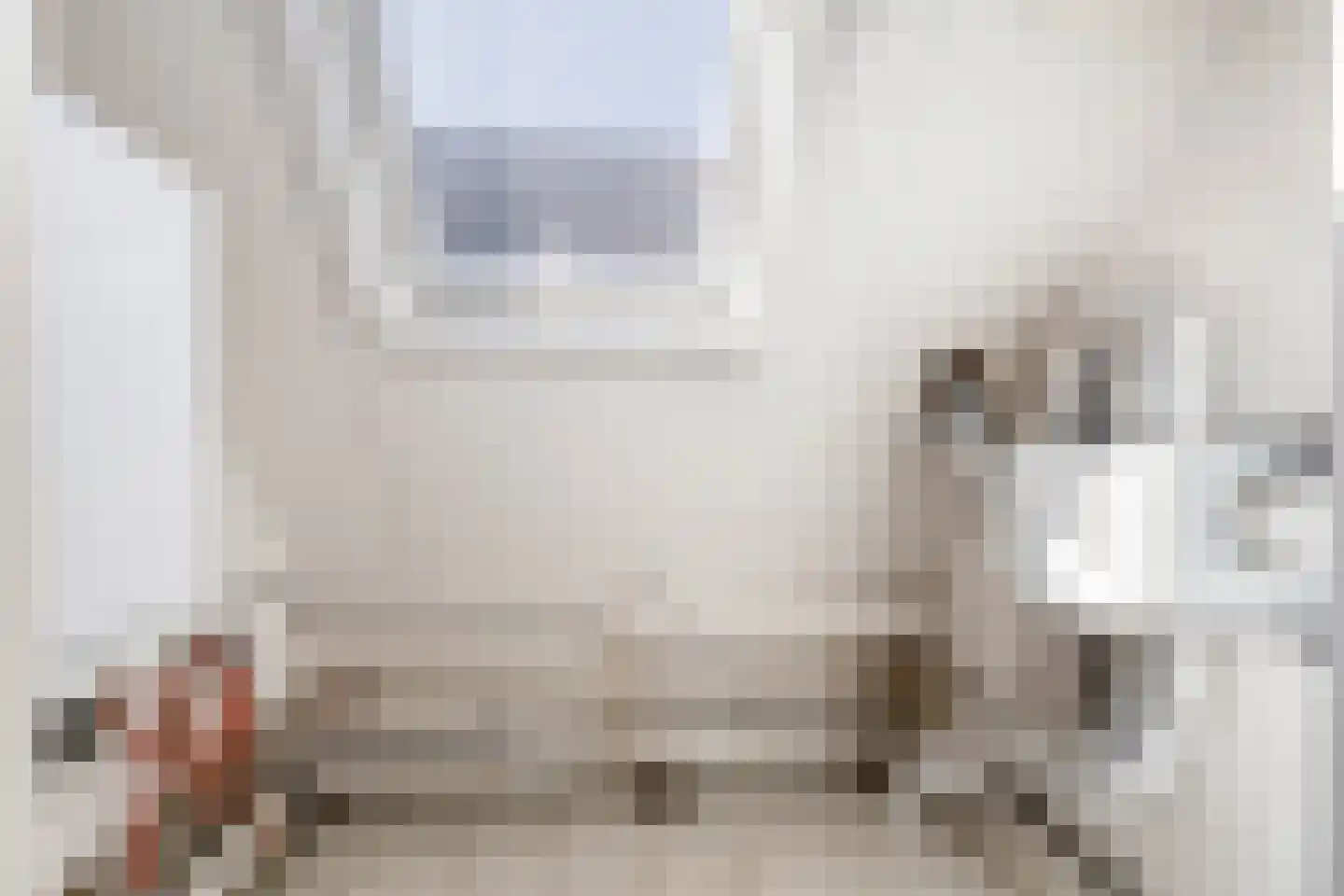 Melis Stokelaan 64 Vlaardingen thumbnail 36