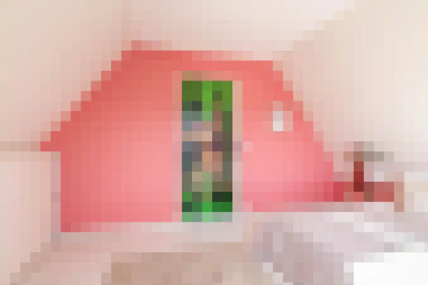 Melis Stokelaan 64 Vlaardingen thumbnail 41
