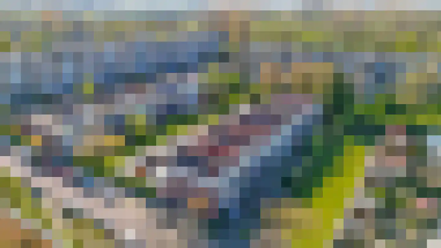 Melis Stokelaan 64 Vlaardingen thumbnail 52