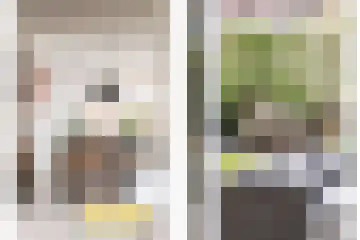 Melis Stokelaan 67 Beverwijk thumbnail 12