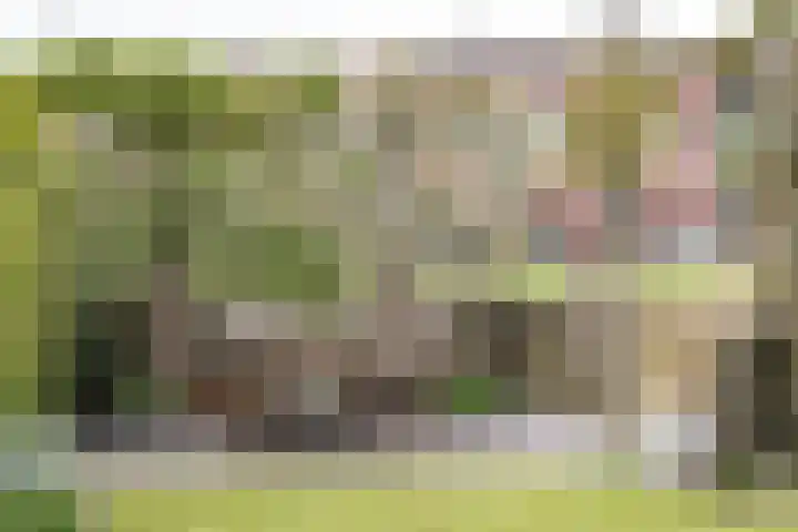 Melis Stokelaan 67 Beverwijk thumbnail 15