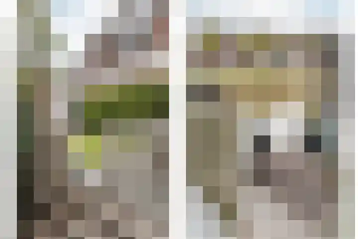 Melis Stokelaan 67 Beverwijk thumbnail 16