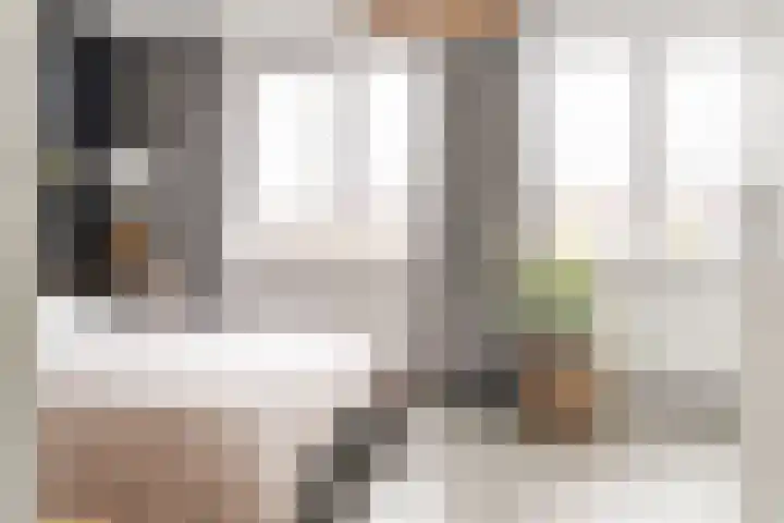 Melis Stokelaan 67 Beverwijk thumbnail 22