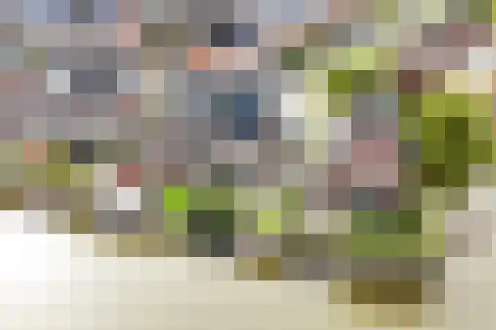 Melis Stokelaan 67 Beverwijk thumbnail 38