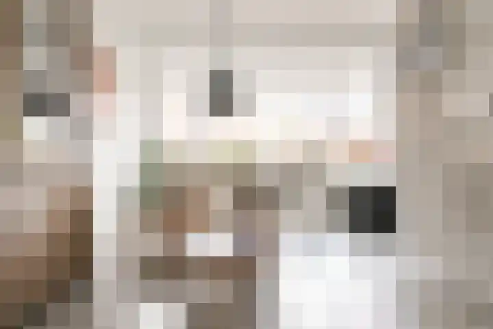 Melis Stokelaan 67 Beverwijk thumbnail 4