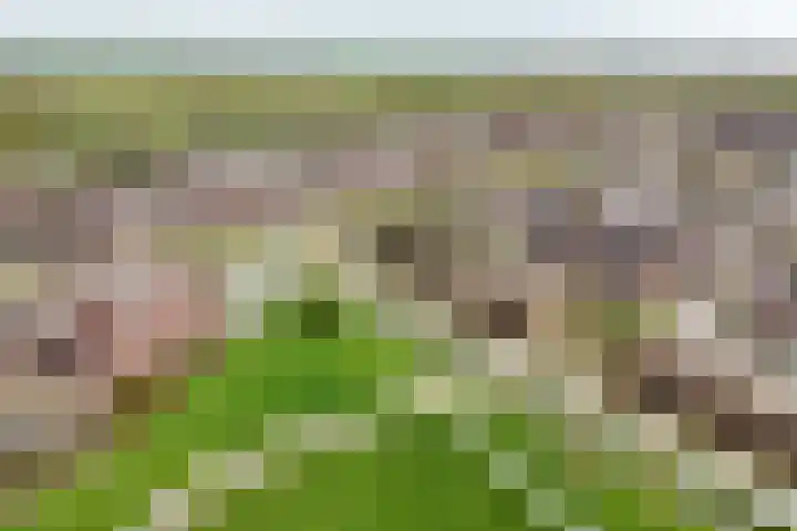 Melis Stokelaan 67 Beverwijk thumbnail 40